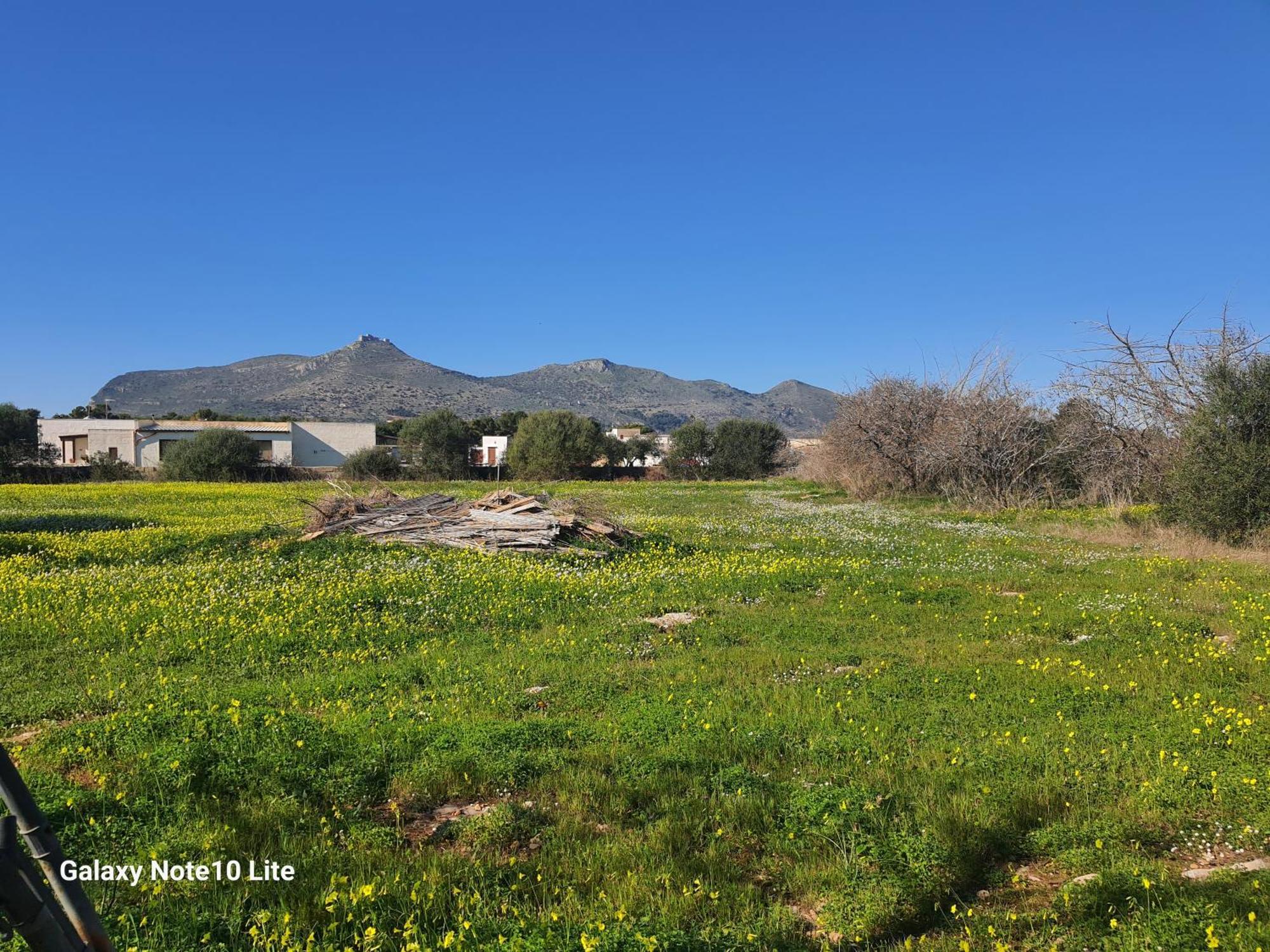 Sogni Nel Blu Favignana Villa Exterior photo
